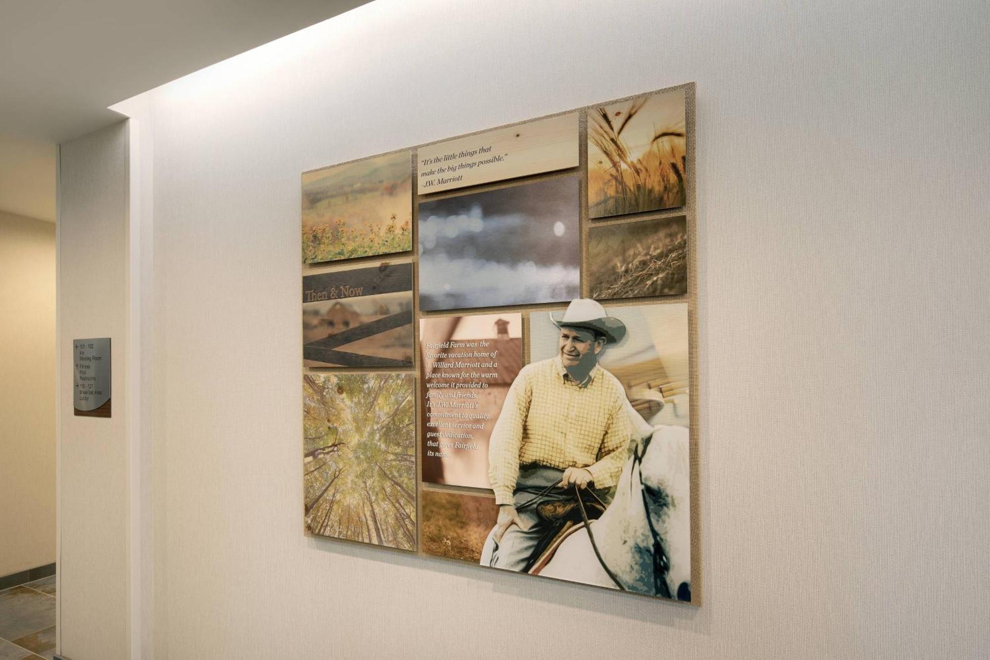 Fairfield Inn & Suites By Marriott Tampa Wesley Chapel Eksteriør bilde